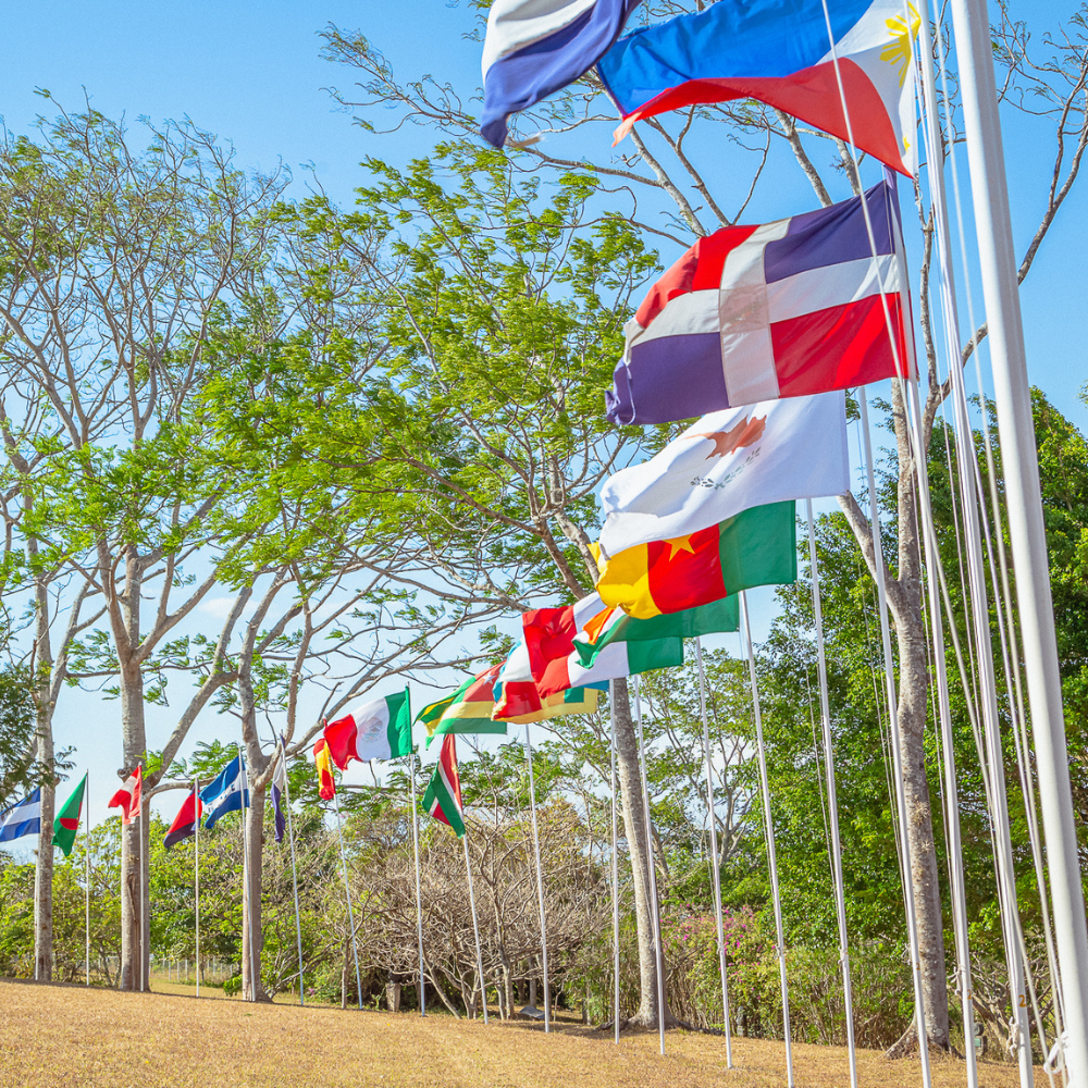 International flags surrounded by nature at the University for Peace campus