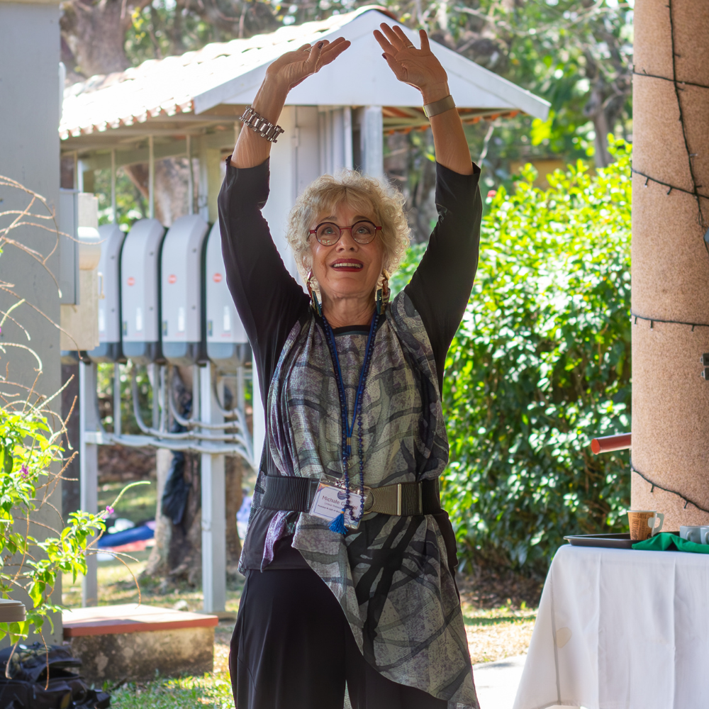 Participant at the Gross Global Happiness Summit at UPEACE